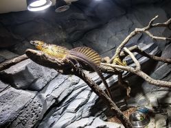 -Zoolung Zoolung动物主题公园(海信广场店)