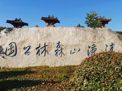 -清凉山国家森林公园