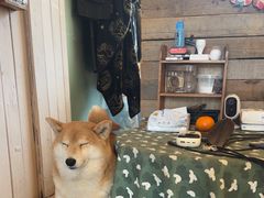 -小时光咖啡馆(开森度假森林店)