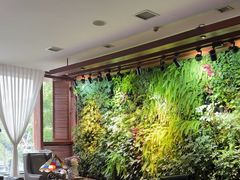 -泽云梵莲花足浴 按摩 SPA(滨湖店)