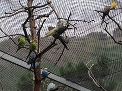 -燕塞湖鸟语林景区