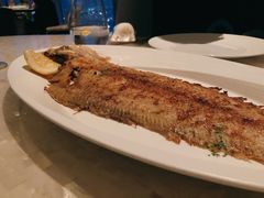 香煎鳕鱼-广州四季酒店·佰鲜汇·现代法餐