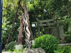 -江心屿景区