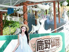 -盈香心动乐园