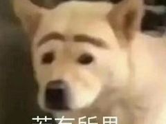 -老王记糕干(养鱼池路店)