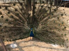 -祥源·阜阳生态乐园