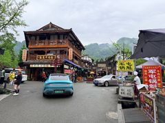 -龙翔山庄雷鸡肉(青城后山泰安古镇店)