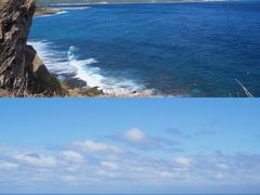 -龙坑生态保护区