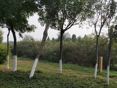 -大港湿地公园
