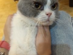 -万小咖.猫咖(中山路天虹店)