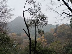 -黔灵山公园