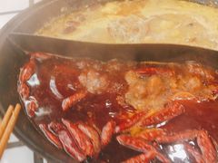 -朱光玉火锅馆(正弘城店)