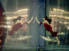 -成都浩海立方海洋公园