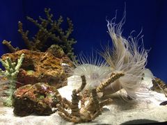 -上海海洋水族馆