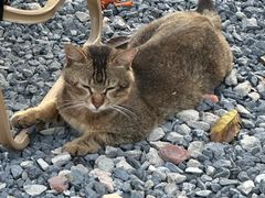 -DGE季风钓虾营地·团建·聚会