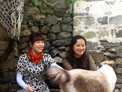 -喵屿·大理花园猫咖