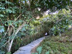 -深圳仙湖植物园