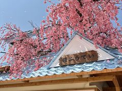 -Blue Concept Cafe&Farm·關於藍