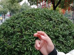 -常州古运河南大街文化旅游区-人民公园