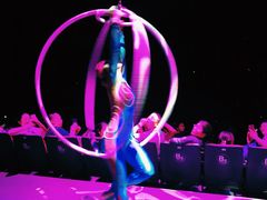 -珠海横琴长隆《卡卡虎奇遇记》