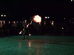-清迈夜间动物园