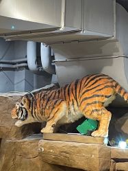 -鲁比猴非洲探索部落(喜盈门店)