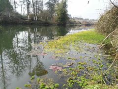 -桤木河湿地公园