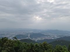 -清溪森林公园