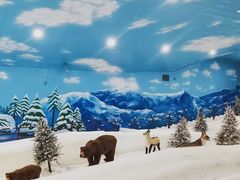 -世界之窗阿尔卑斯冰雪世界