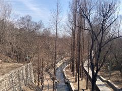 -白水寺森林公园