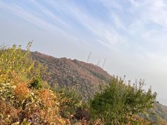 -北京西山国家森林公园