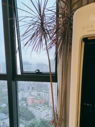 -V8潮牌·接发烫染连锁