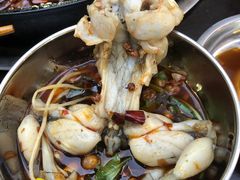 -鸿顺老铁锅美蛙鱼府(解放碑店)