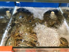 -渔中舟海鲜大排档(普陀沈家门店)