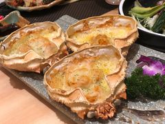 -酒久自助料理(佳兆业店)
