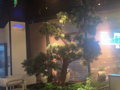 -绿茶餐厅(成都大悦城店)