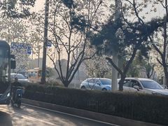 -襄阳古城
