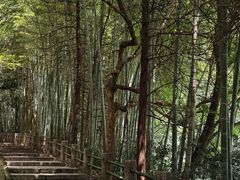 -敬亭山风景名胜区