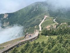 -白草畔自然风景区