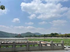 -顺峰山公园
