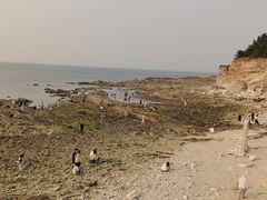 -养马岛旅游度假区