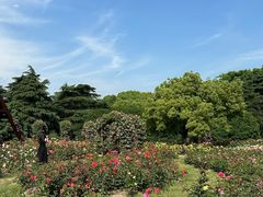 -上海滨江森林公园