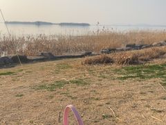 -苏州湾体育公园