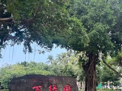 -万绿园