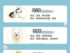 -翊宠yipet猫狗购宠庄园犬舍•猫舍