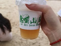 -鹿嘴山庄