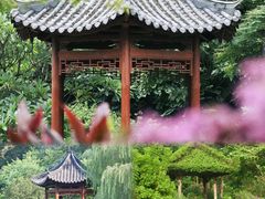 -云溪植物园
