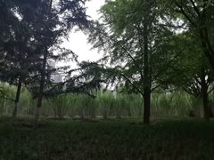 -元大都城垣遗址公园