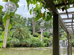 -中国科学院西双版纳热带植物园