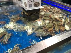 -盒马鲜生(红莲店)